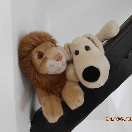 Mein Daire